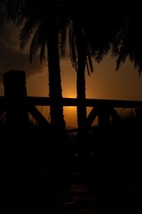 D850C75D-4663-445F-B790-09FE7E4BB597/L0/001