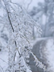F2684C24-62AF-49F4-86E2-F4946C8B703F/L0/001