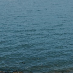 BAC6B8D1-F1DD-492A-A4E6-1D727838E8A2/L0/001