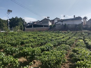1000025970