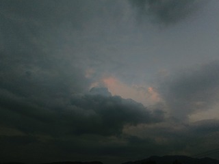 1000025913