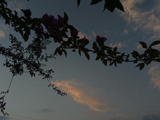 1000025792