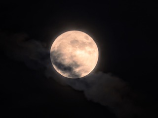 08F86396-7E49-4695-9EF9-6F92520A7C1D/L0/001