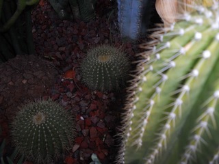 E2EA5AD2-9C70-40CA-90BB-2571726B50FF/L0/001