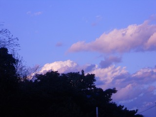 5165FF59-35A7-4A41-BD9F-3642E522241A/L0/001