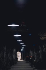 35338