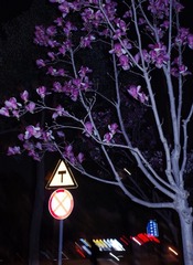 A9A98052-1F8E-483D-B730-E91A4E8783A2/L0/001