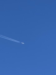 B9FB1441-F4B8-4C5A-BA65-2481F15F1240/L0/001