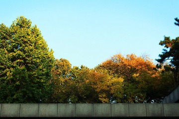 2010.10.29｜北京｜广院