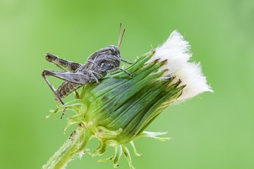 69551