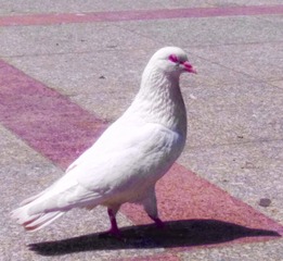 32980