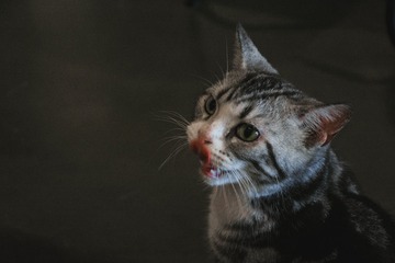 623894
