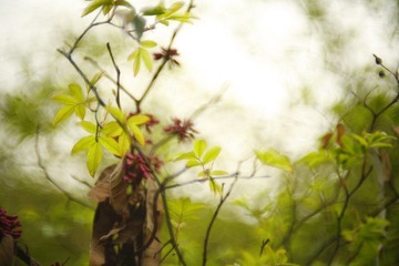 _MG_9905.JPG