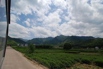 DSC_0302.JPG