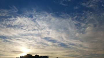 558