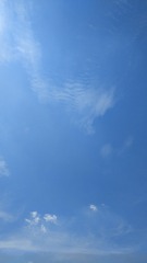619
