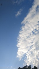 522