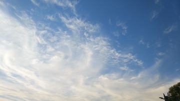 557