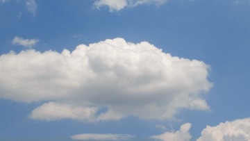 594