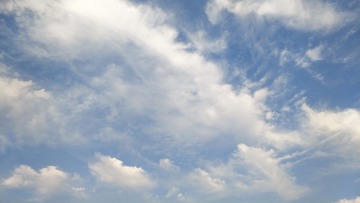 564