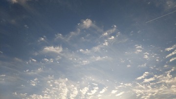 563