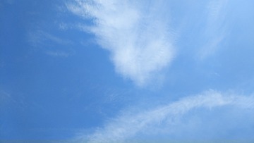 613
