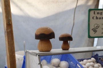 _MG_1650.JPG