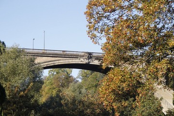 _MG_1691.JPG