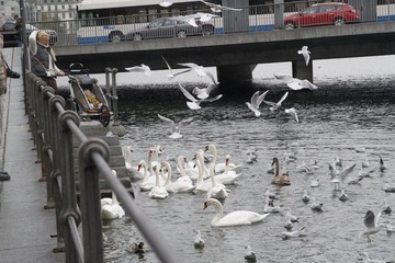 _MG_2517.JPG