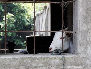 _MG_3747.jpg