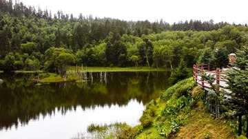 20120916031-2.jpg
