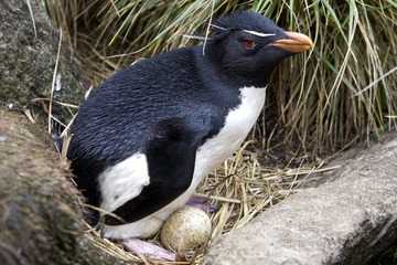 _MG_0760-2