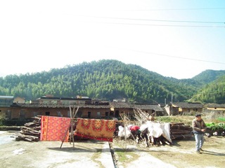 DSCF1940.JPG