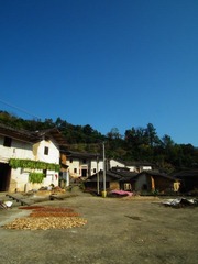 DSCF1975.JPG