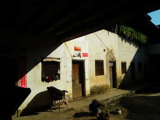 DSCF1982.JPG