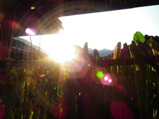 DSCF2006.JPG