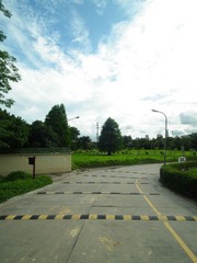 DSCF3613.JPG