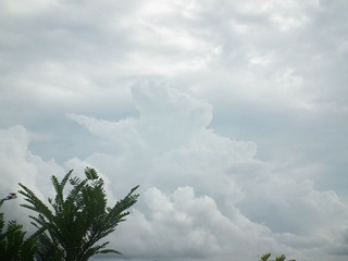 DSCF3631.JPG