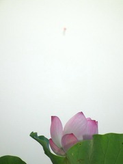 DSCF4056.JPG