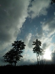 DSCF4196.JPG