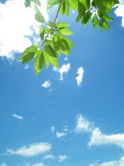 DSCF4276.JPG