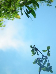 DSCF4448.JPG
