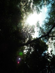 DSCF4450.JPG