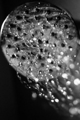 DSCF6639.jpg
