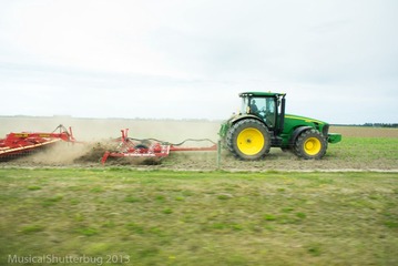 DSC_2286.jpg