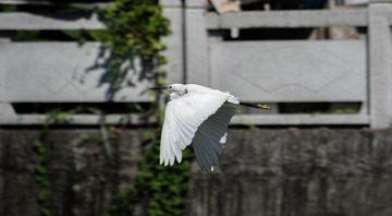 448652