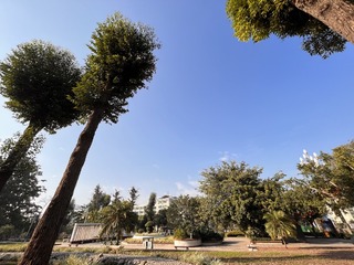 4DDD694C-D1FE-40E0-8041-6C3183754941/L0/001