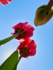 D1206D5B-78E6-46A5-9042-6BBEDB889153/L0/001