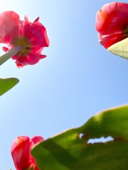 C519C110-A5D2-46C5-8F01-A44F80EA38D8/L0/001