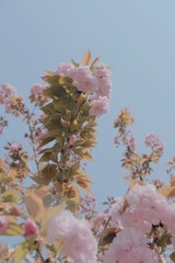 7FEF3154-FD06-4614-B6F7-C09CCBFEC6B9/L0/001